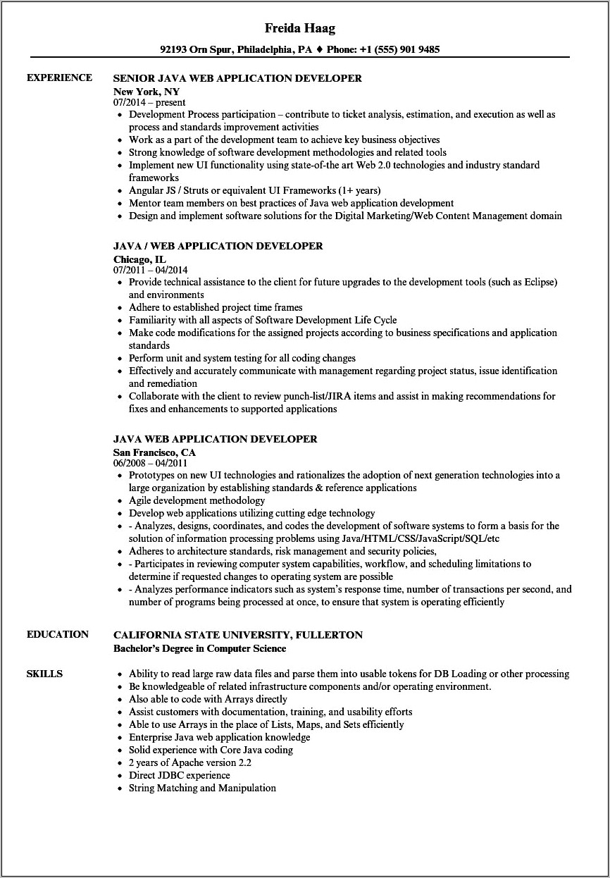 Sample Web Application Developer Resume