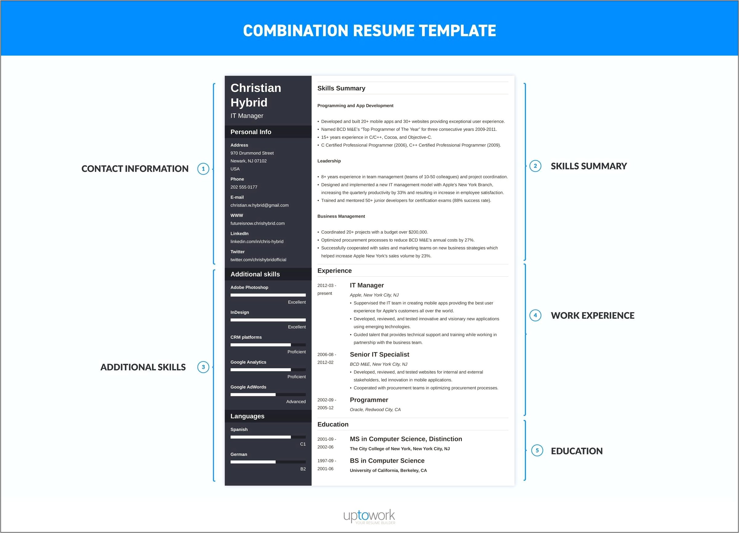 Samples Of Combined Resume Format