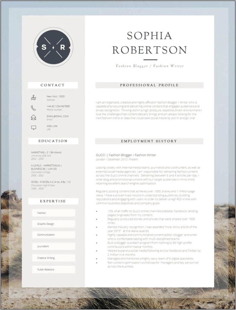 Samples Of Fun Professional Resumes