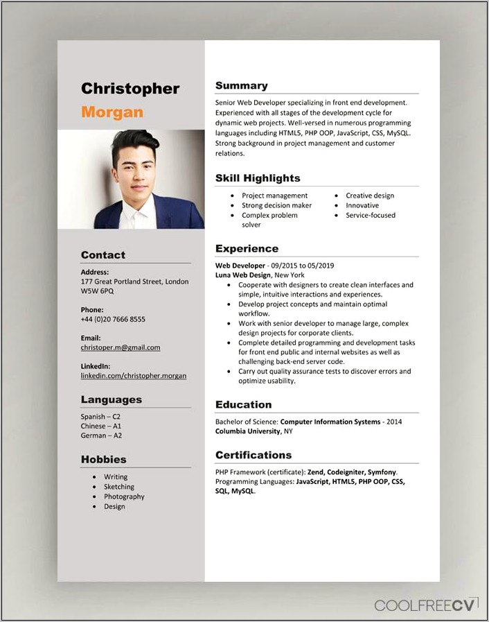 Samples Of Professional Resume Writing