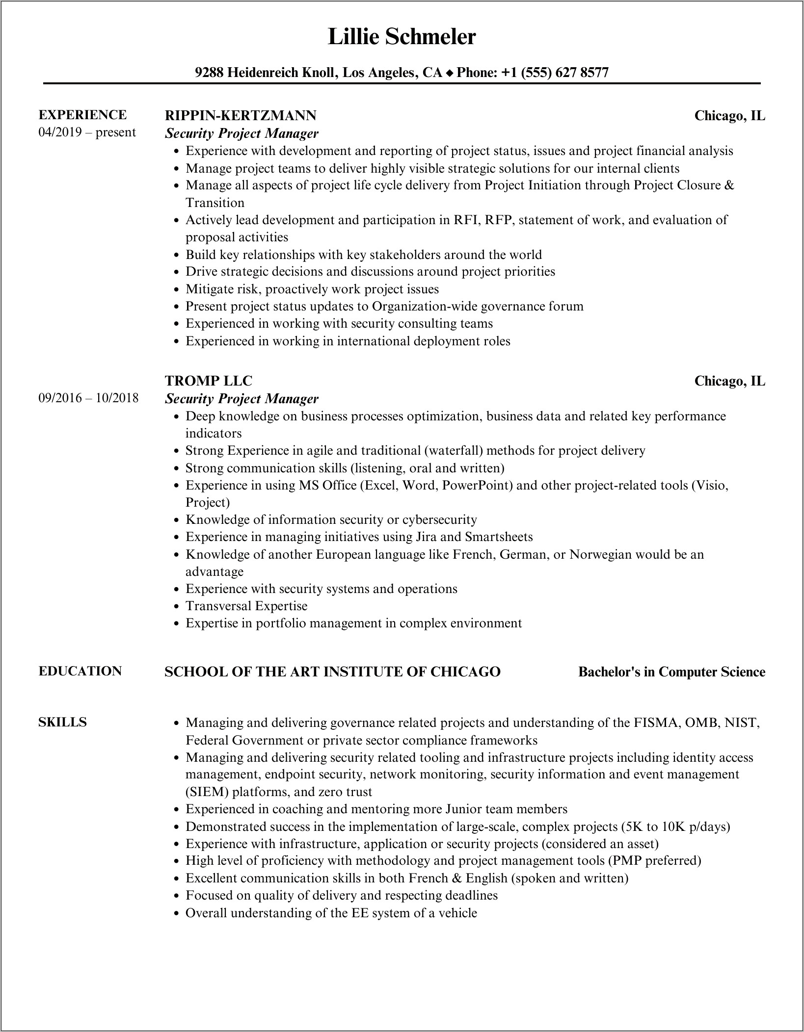 Sap Security Project Manager Resume