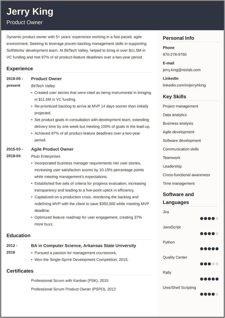 Scrum Product Owner Sample Resume