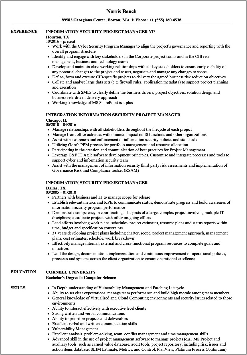 Security Project Management Resume Example