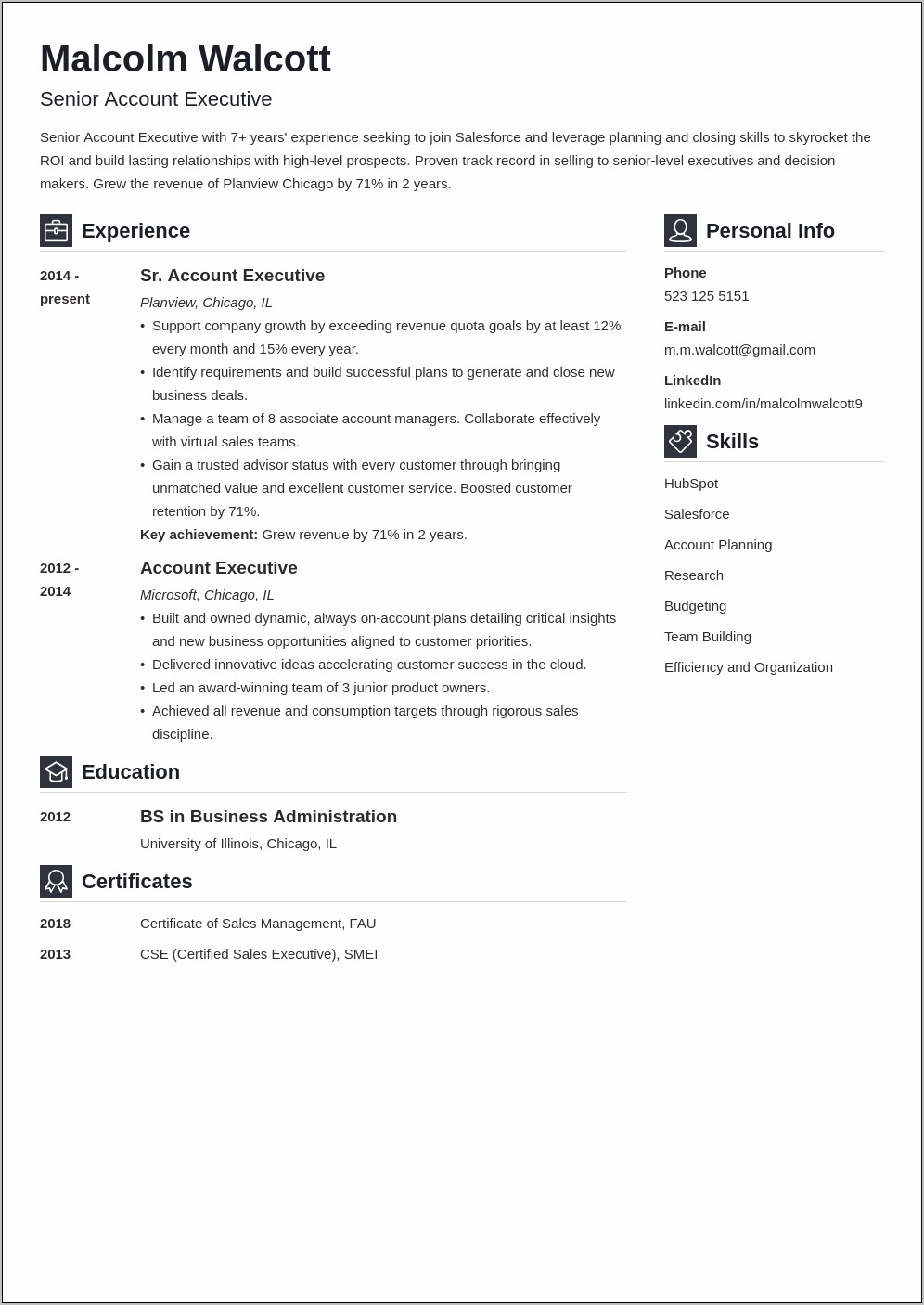 Senior Account Executive Resume Examples