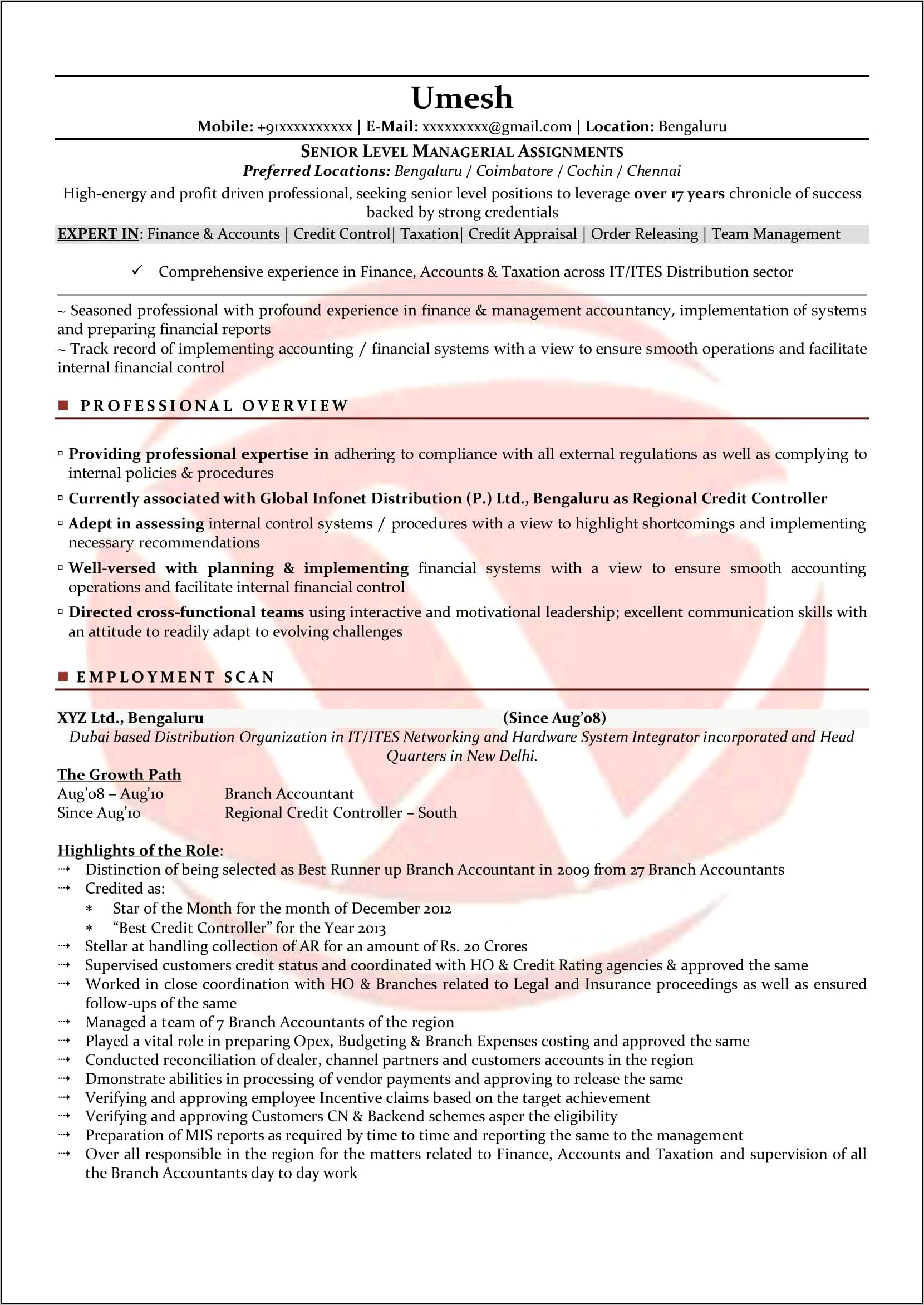 Senior Accountant Resume Sample India