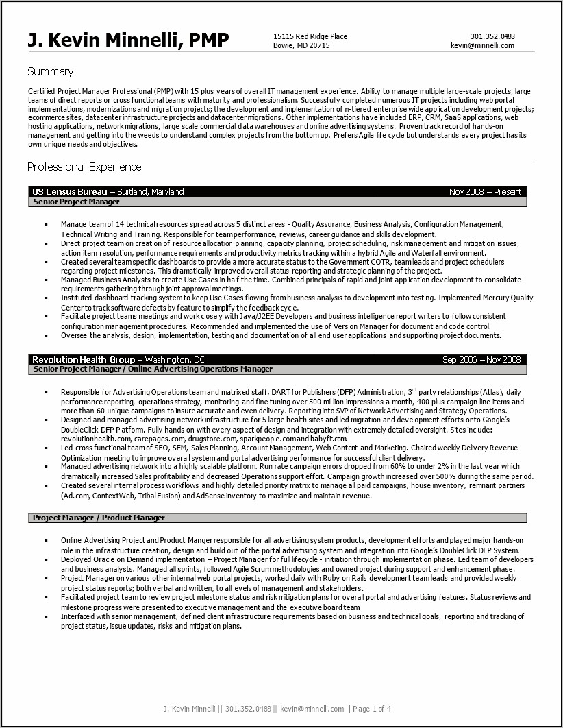 Senior It Manager Resume Examples