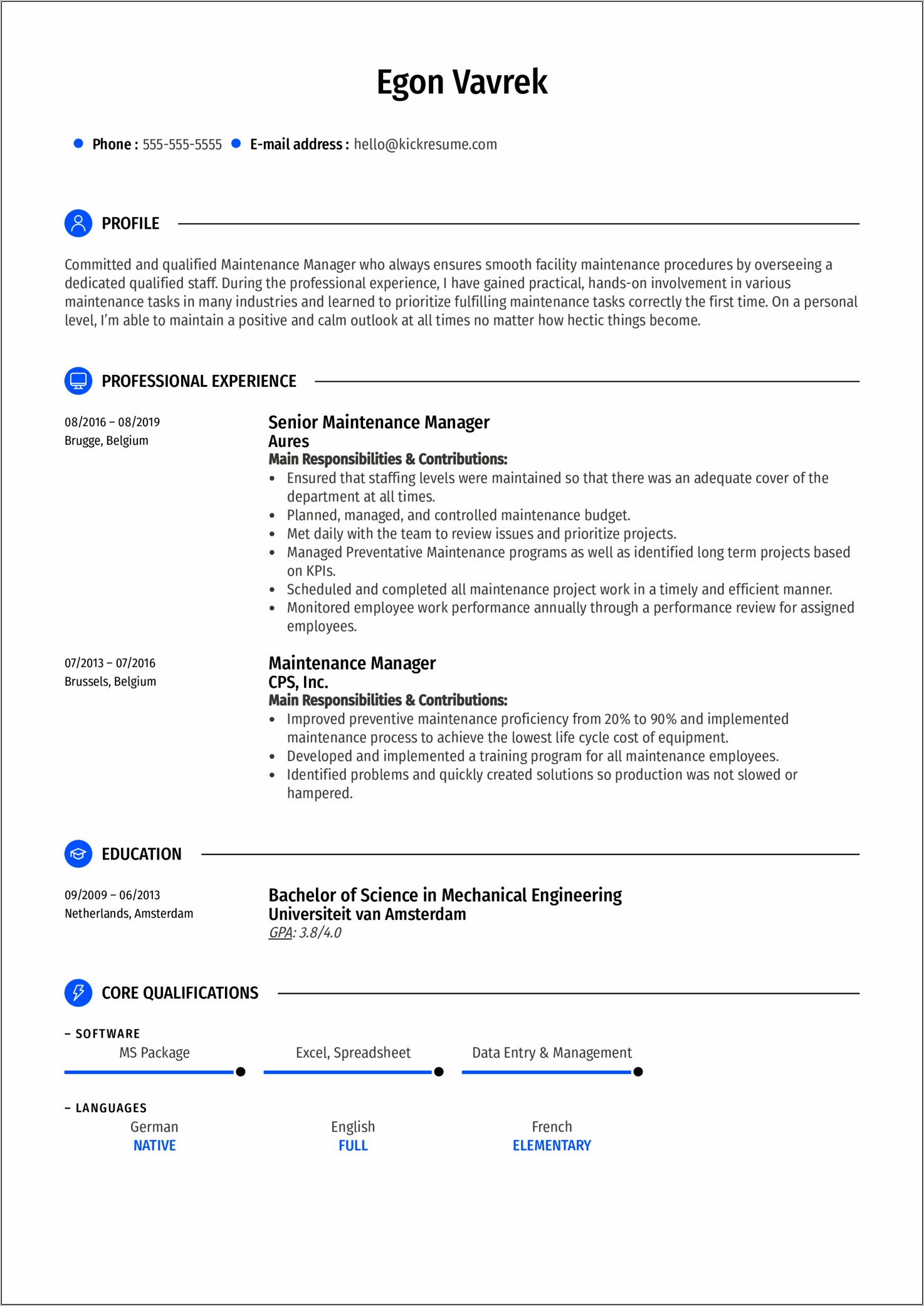 Senior It Manager Resume Sample