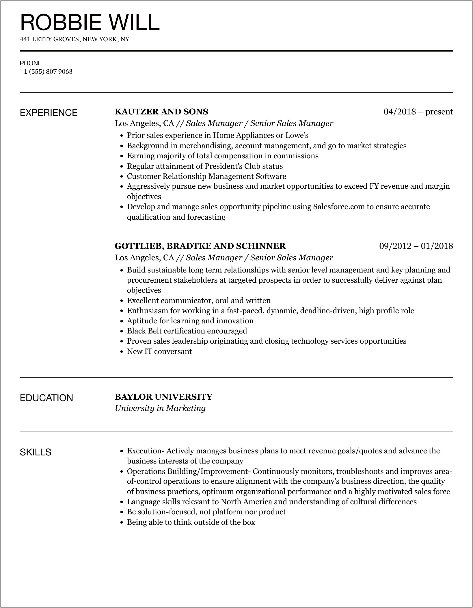 Senior Sales Manager Resume Objective