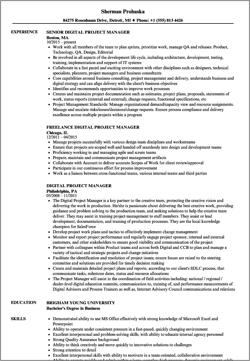 Seo Project Manager Resume Examples