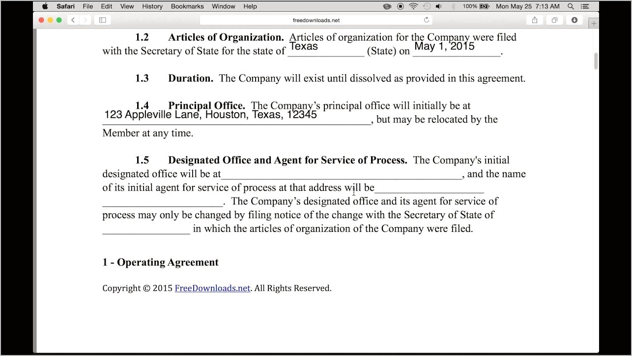 Single Member Llc Operating Agreement Free Template