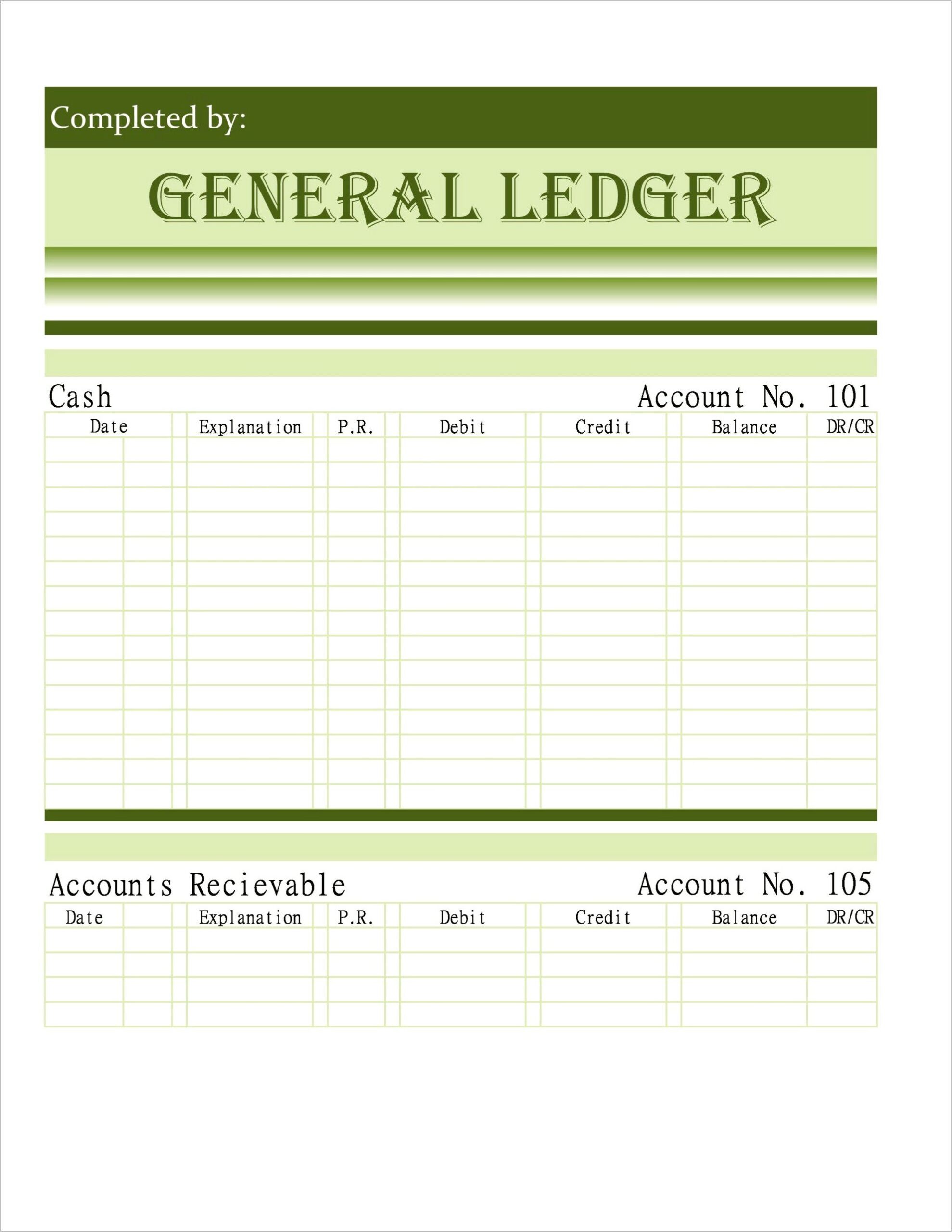 Single Patient Ledger Template Microsoft Word Free Download