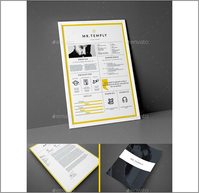 Skip Agent Resume Template Free