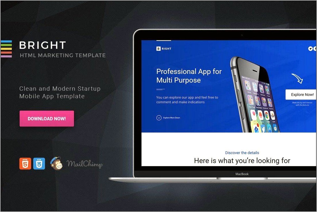 Smart Mvp Startup Landing Page Template Free Download