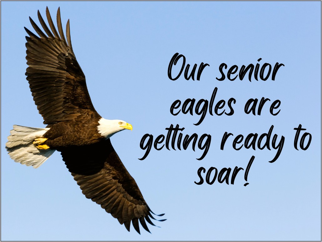 Soar Like An Eagle Graduation Program Template Free