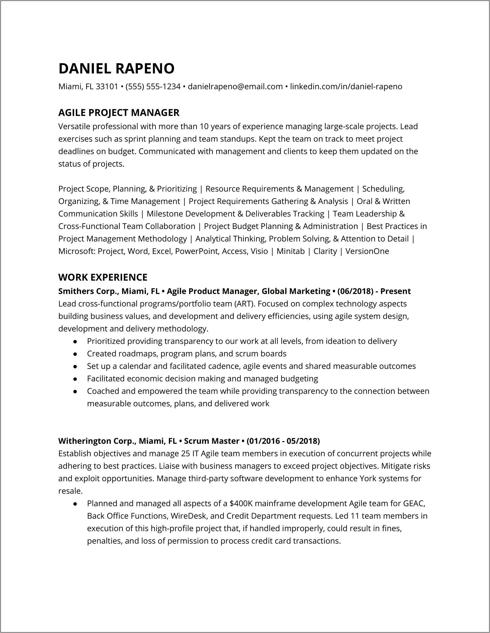 Software Development Project Manager Resume