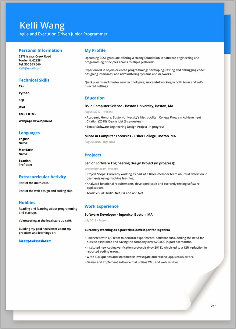 Standard Cv Template Free Download South Africa