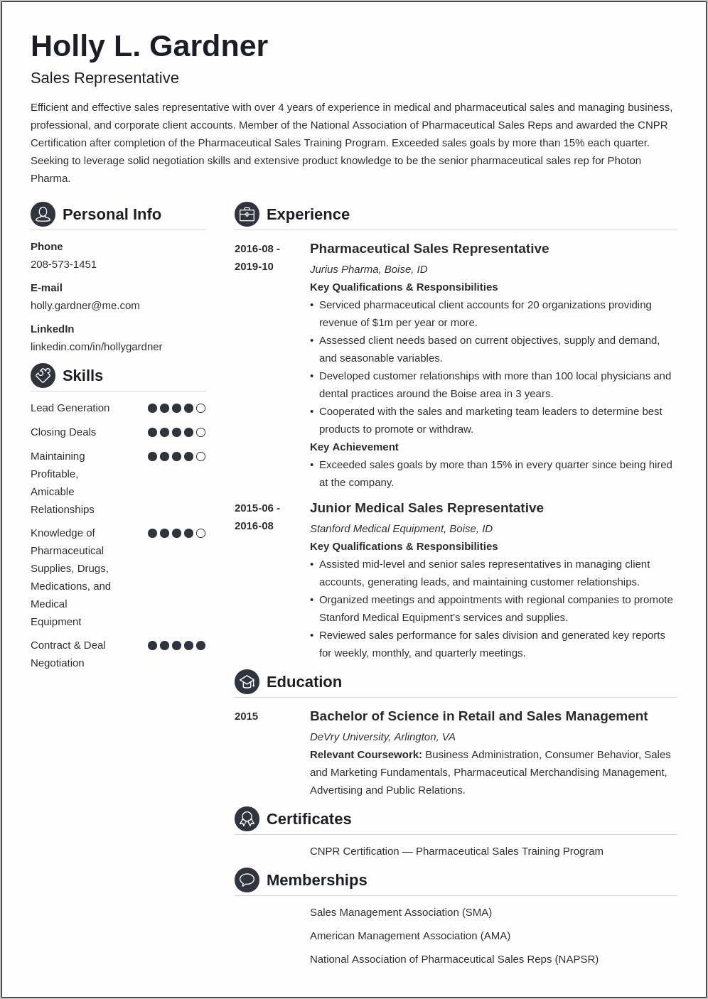 Summary Examples For Sales Resume