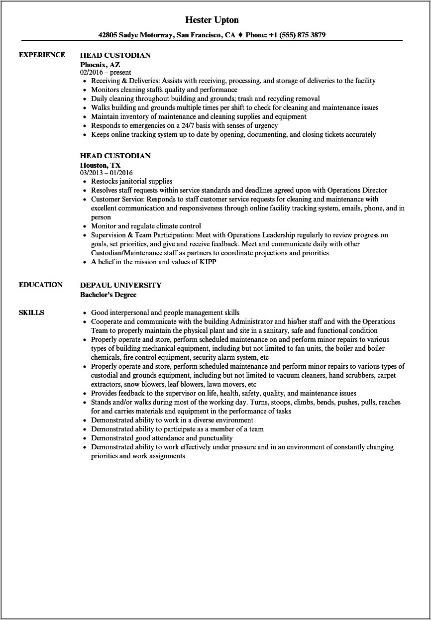Summary For Custodian Job Resume