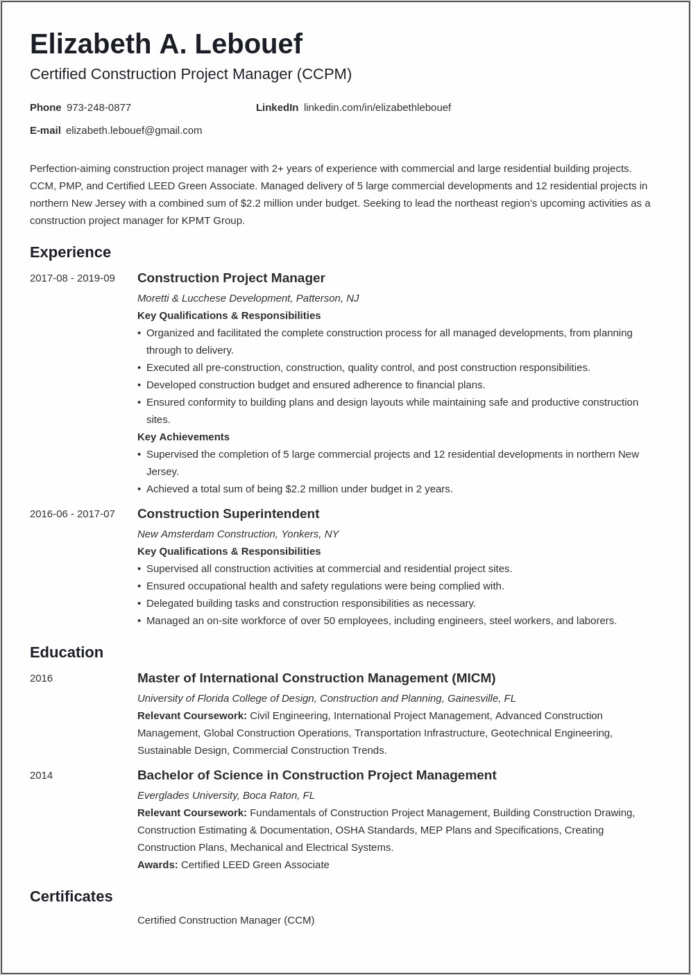 Summary Statement Resume Project Manager