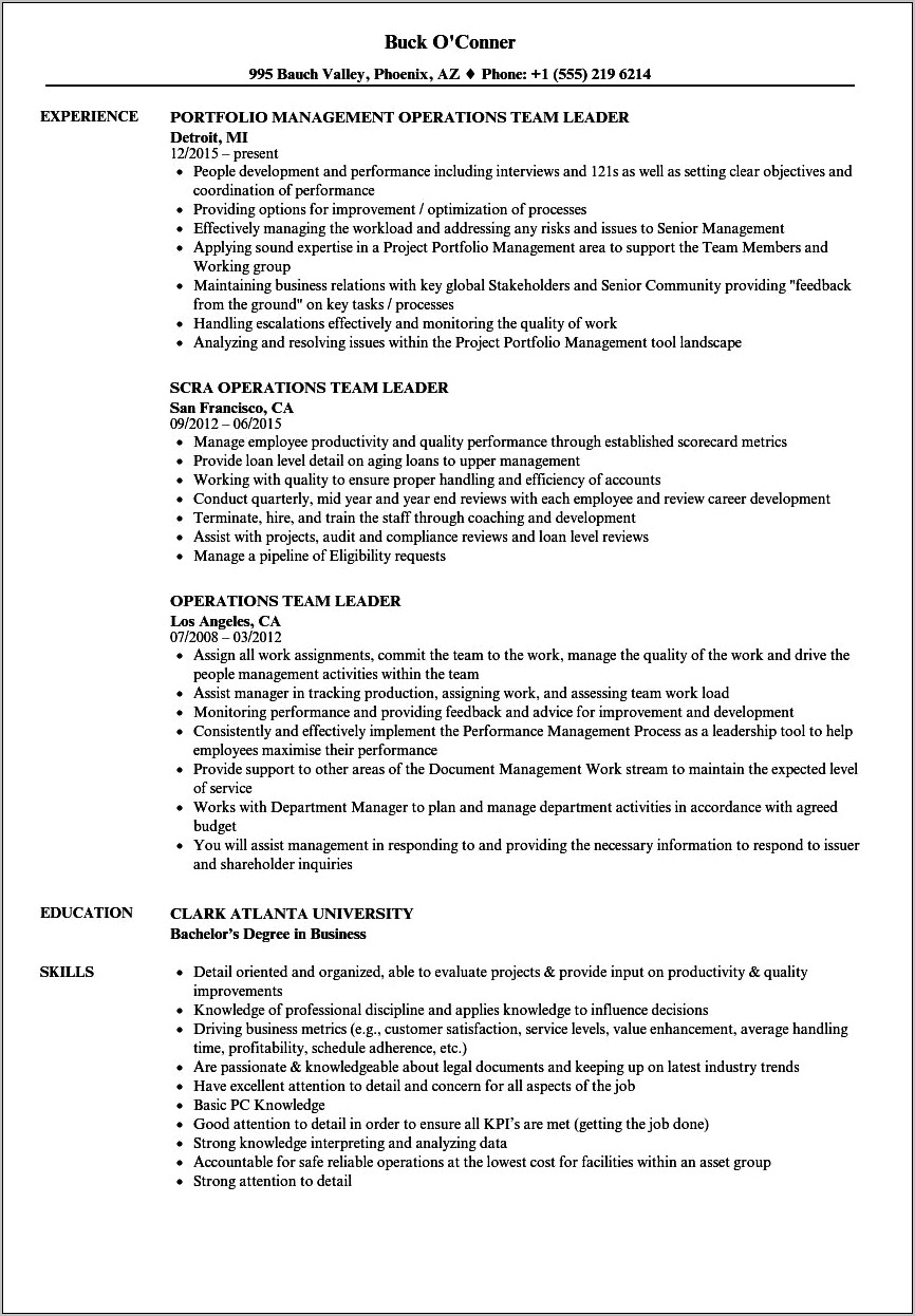 Team Lead Resume Sample India