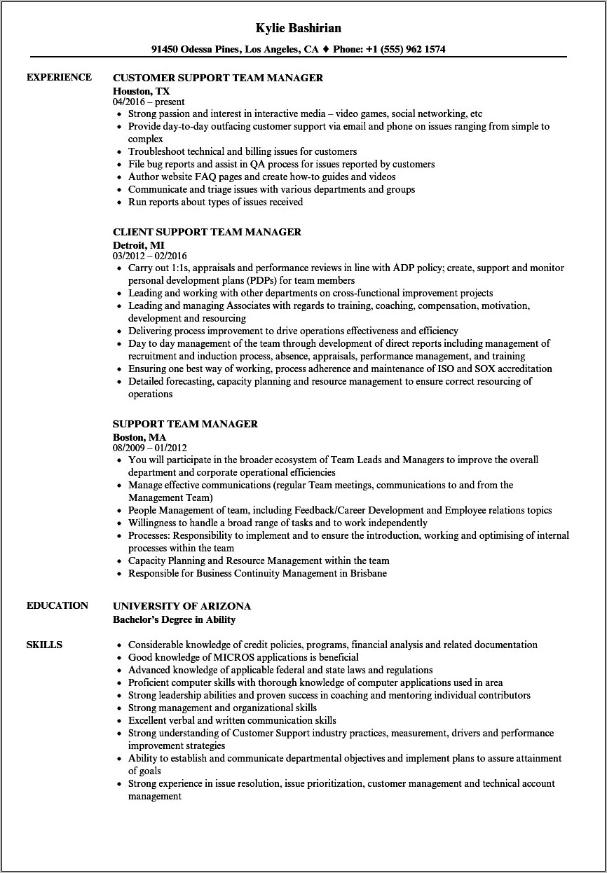 Team Manager Job Description Resume