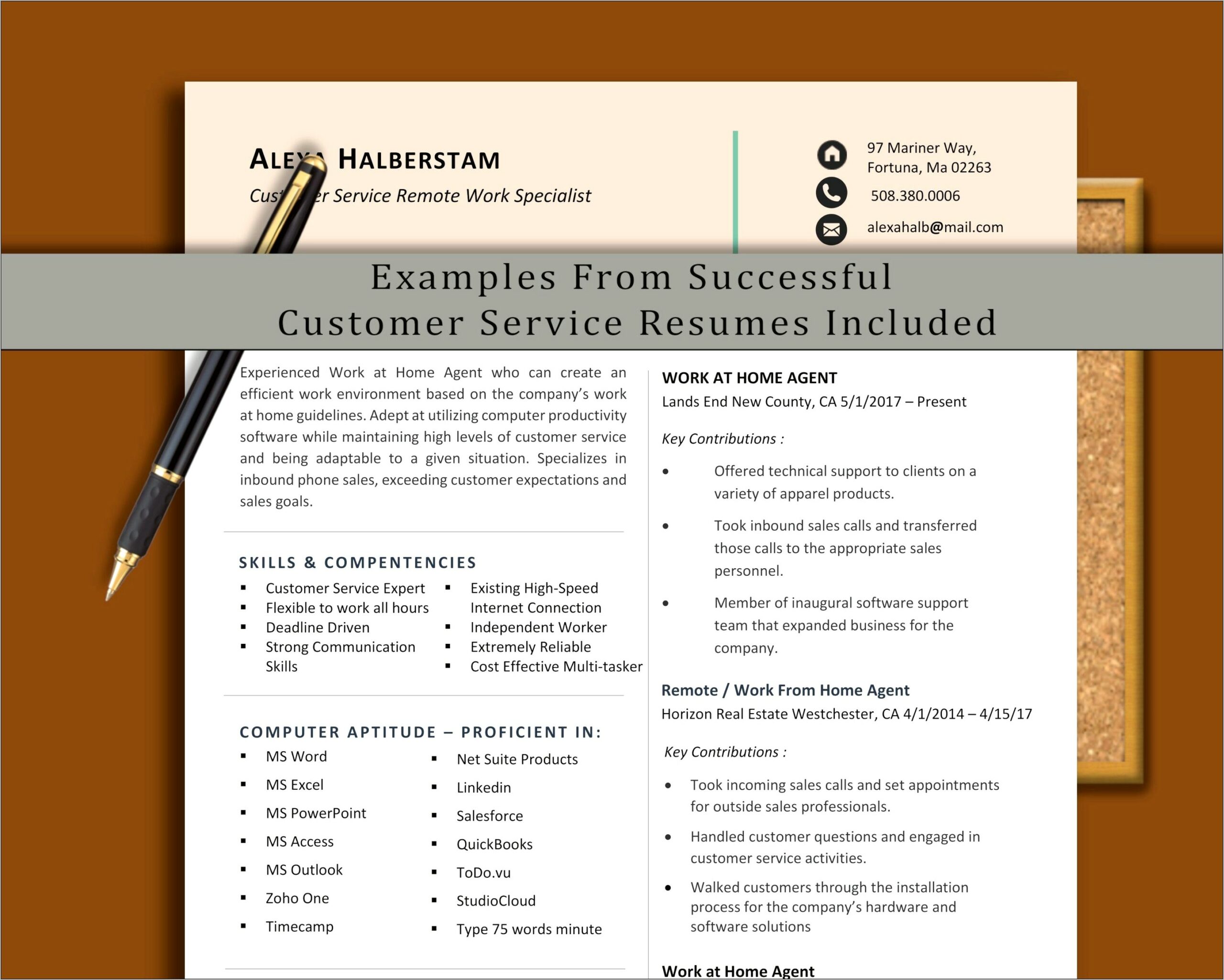 Tech Support Resume Samples India