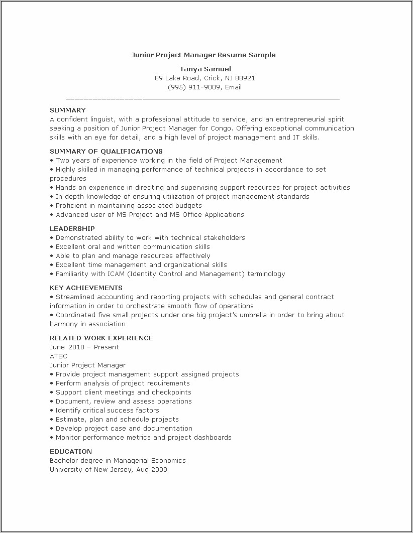 Technical Program Manager Resume Sample