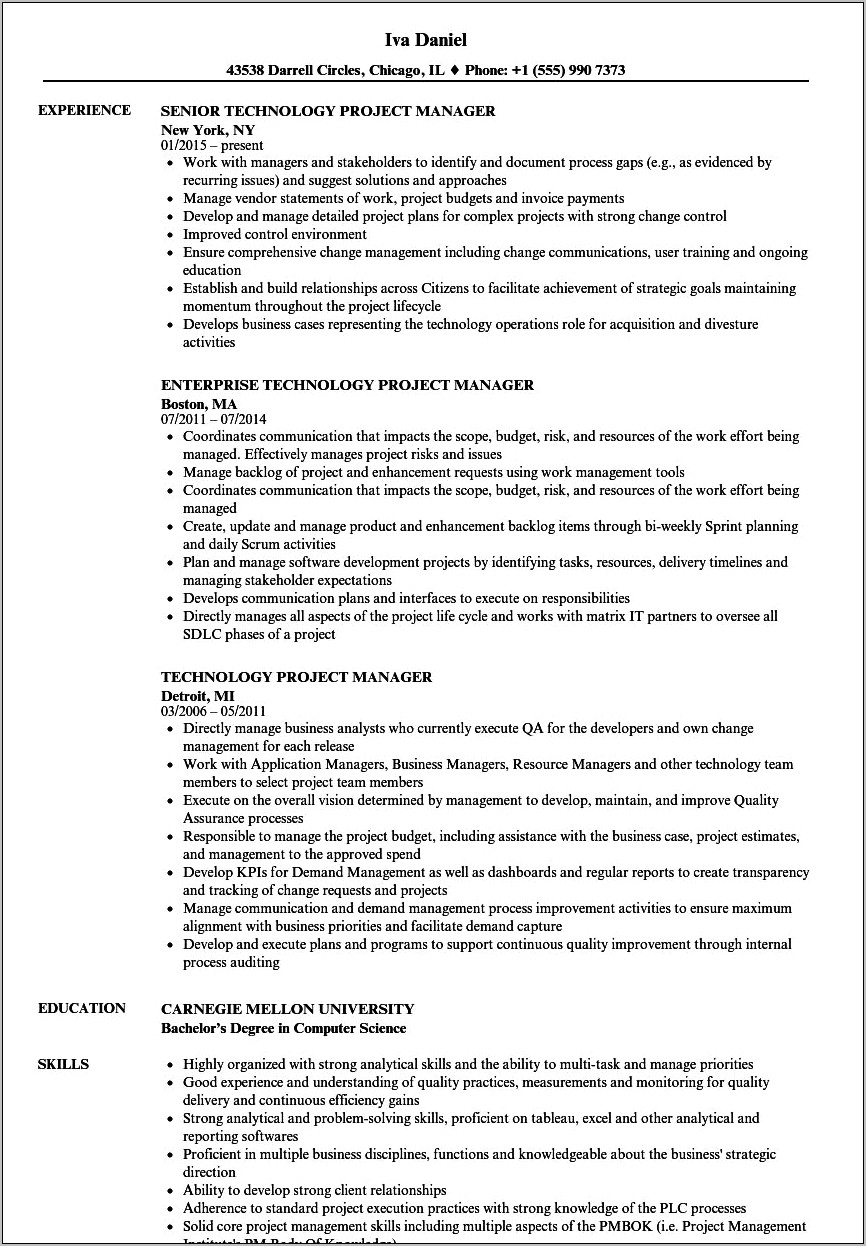 Technical Project Manager Resume Example
