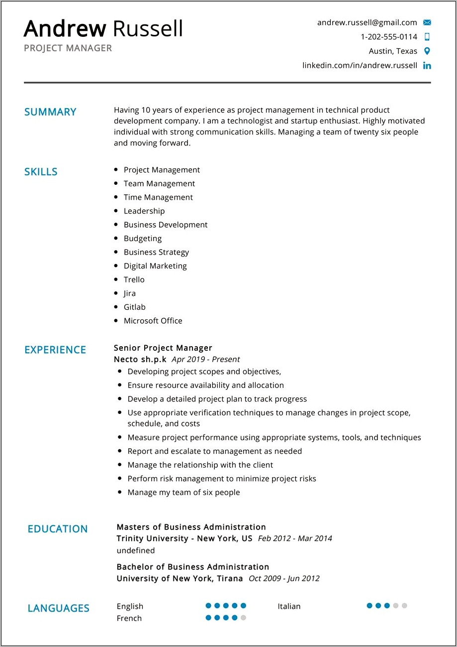 Technical Project Manager Resume Pdf