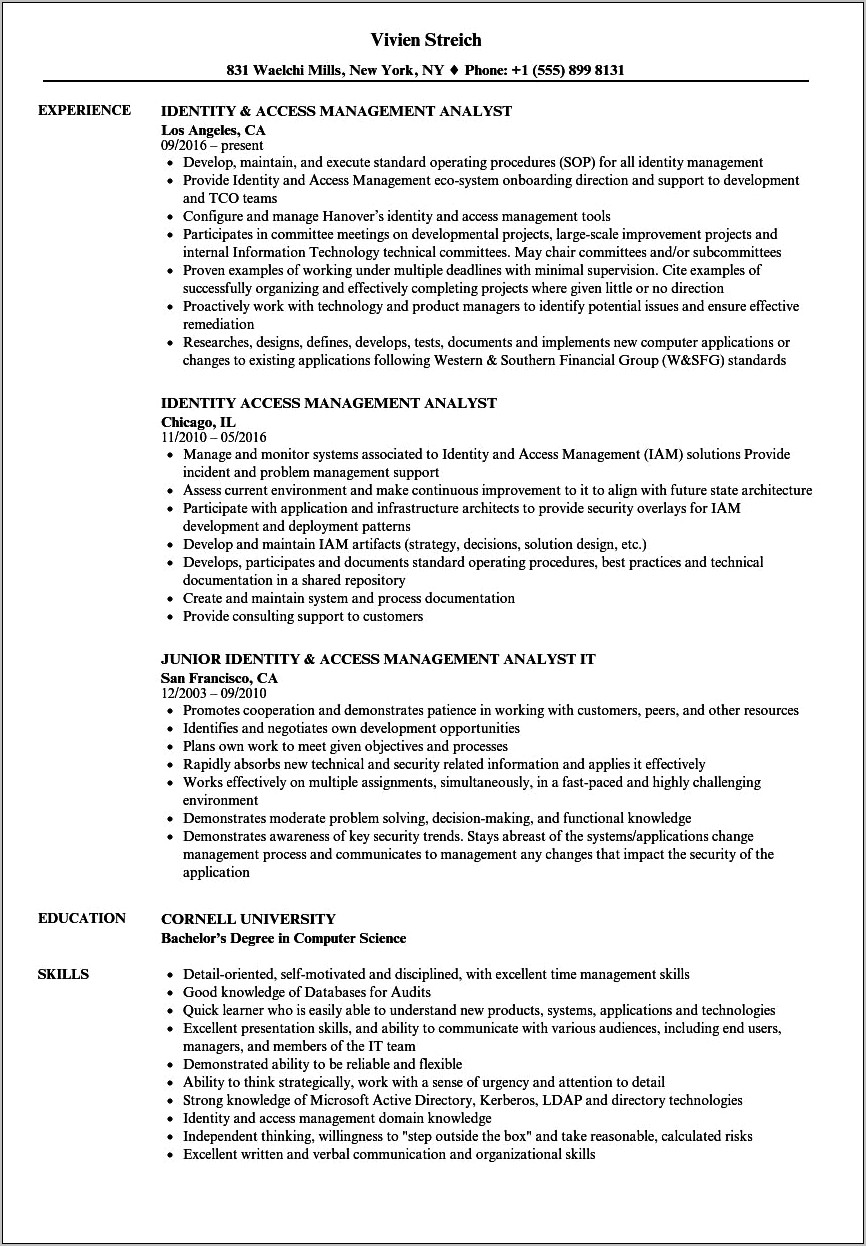 Technology Analyst Resume Samples Jobherojobhero