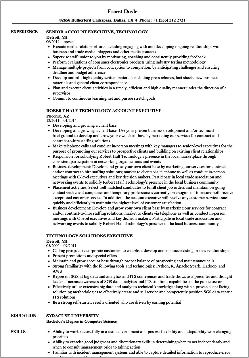 Technology Leader Resume Summary Sample