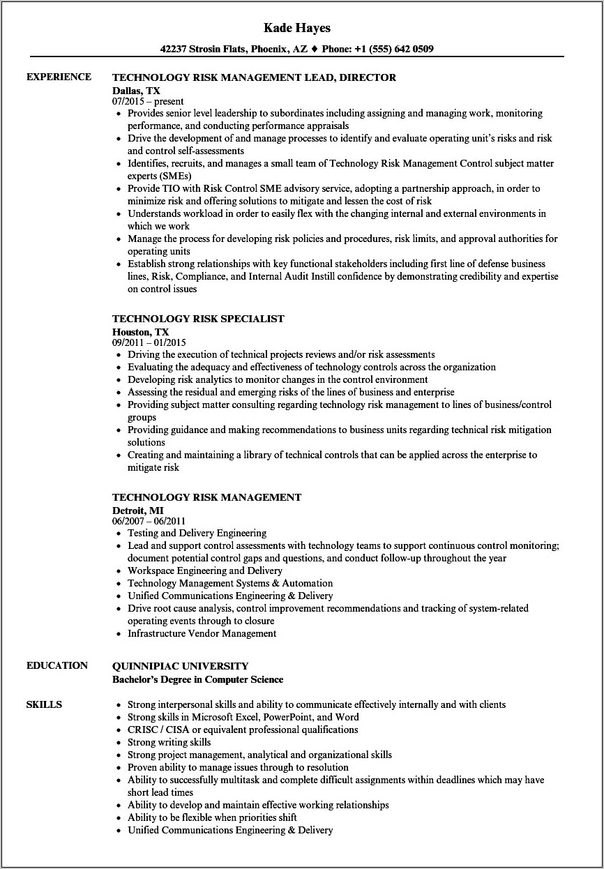 Technology Risk Manager Resume Summary