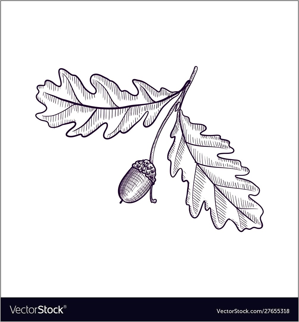 Template For A Oak Tree Free Printable