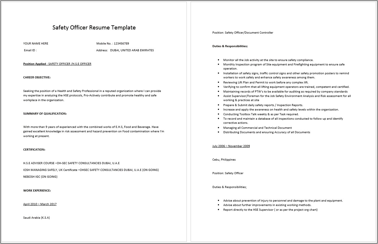 Traffic Control Person Resume Example