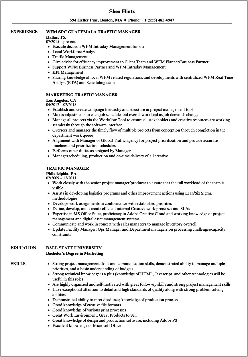 Traffic Logistic Department Resume Sample