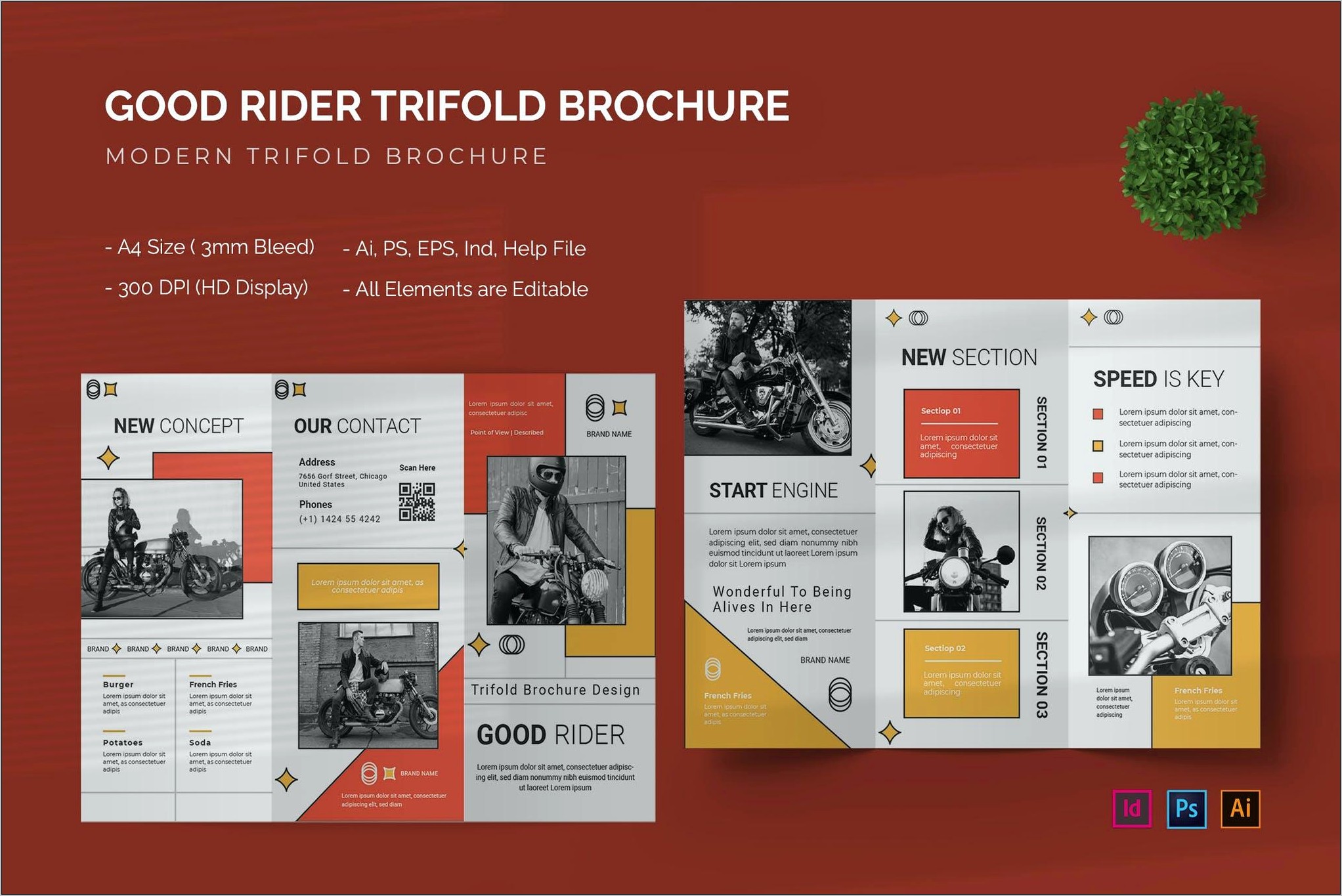 Tri Fold Brochure Template Free Download Teenage Audience