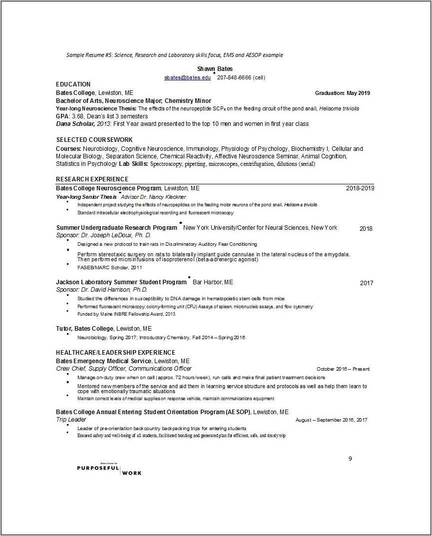 Undergraduate Resume Senior Thesis Examples