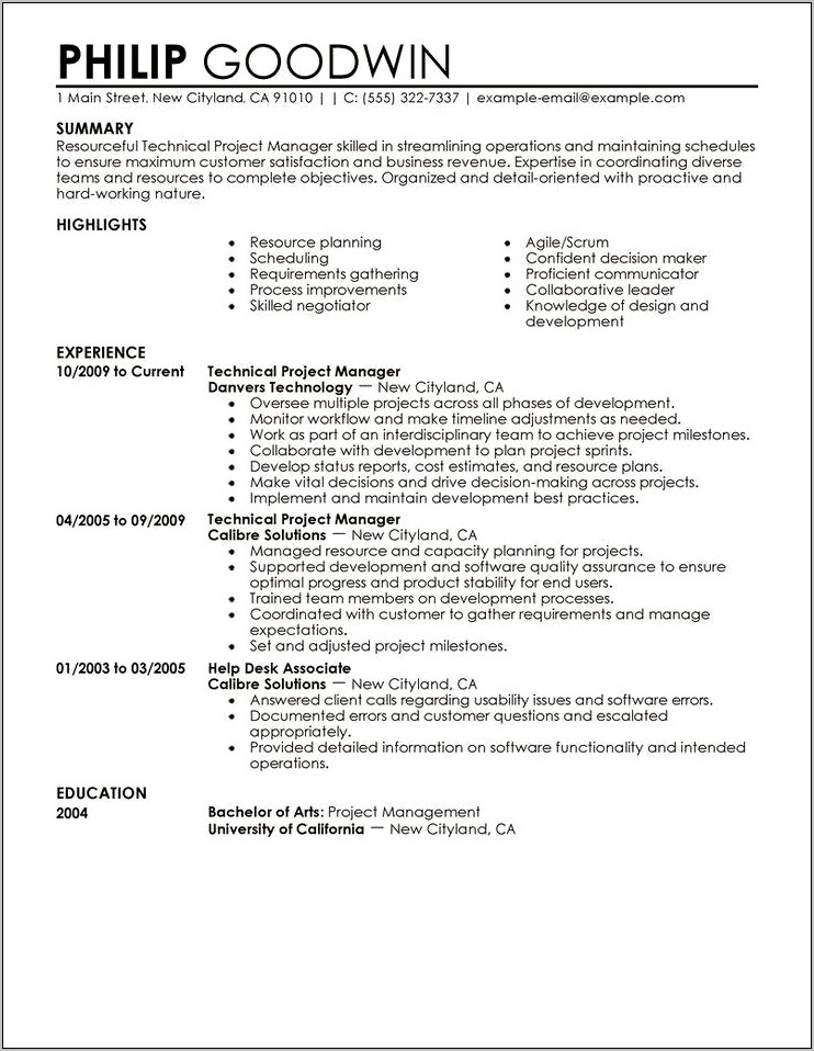 Updated Professional Resume Example 2018