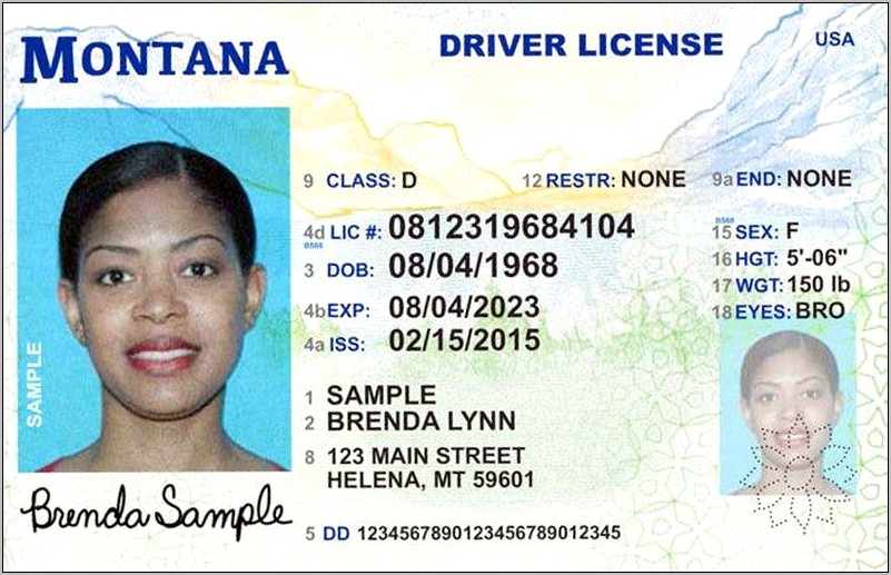 Us Driving Licence 2015 Template Free Download