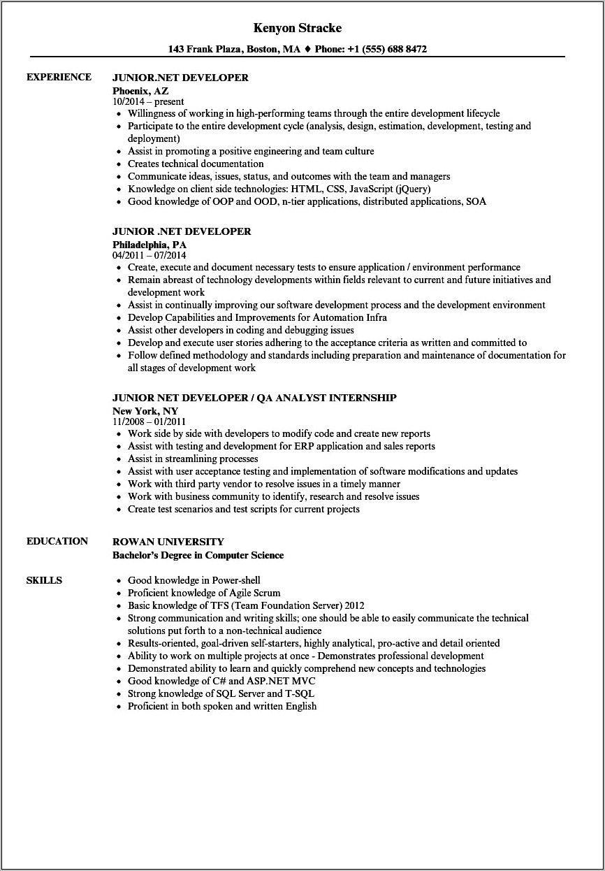 Vb.net Resume Sample Hireit