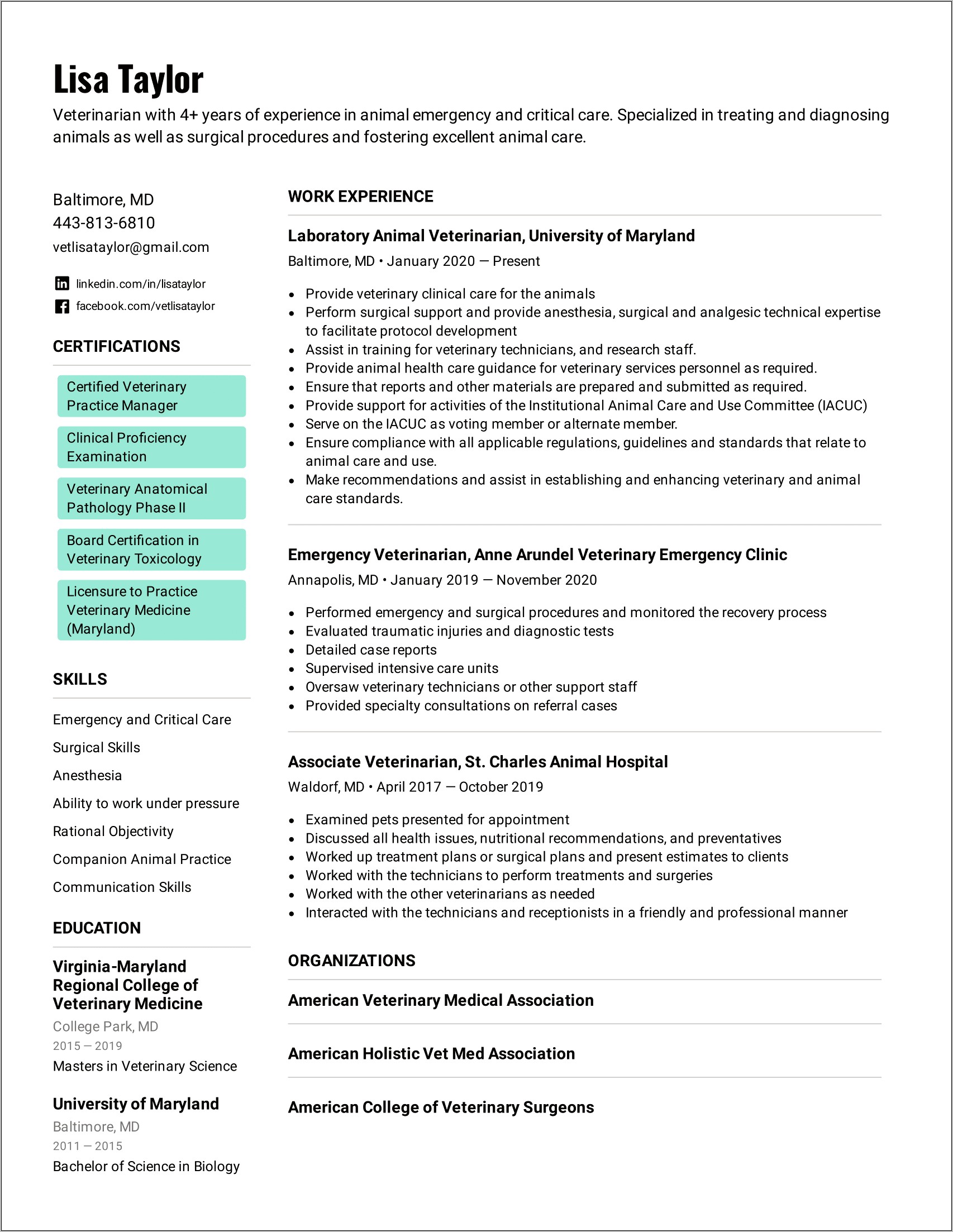 Vet Tech Assistant Resume Examples