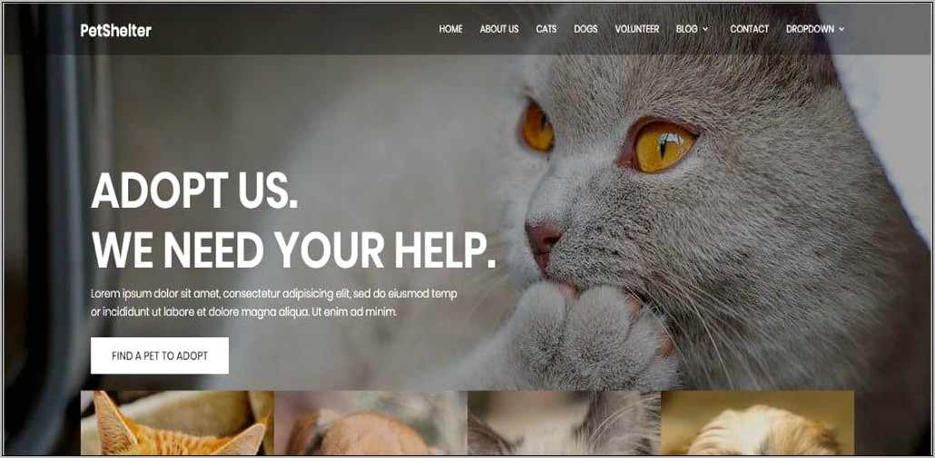 Veterinary Web Free Css Html Code Template Toolkit