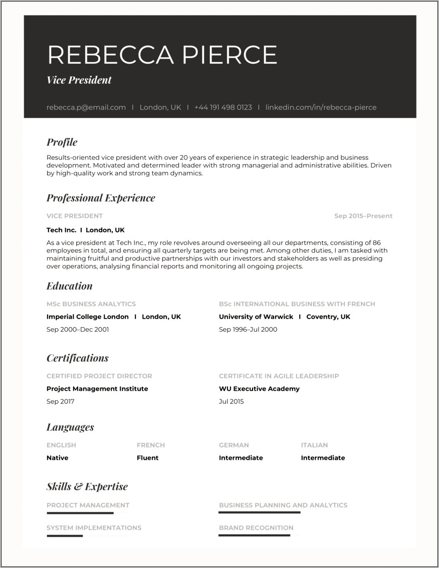 Vice President Finance Resume Examples