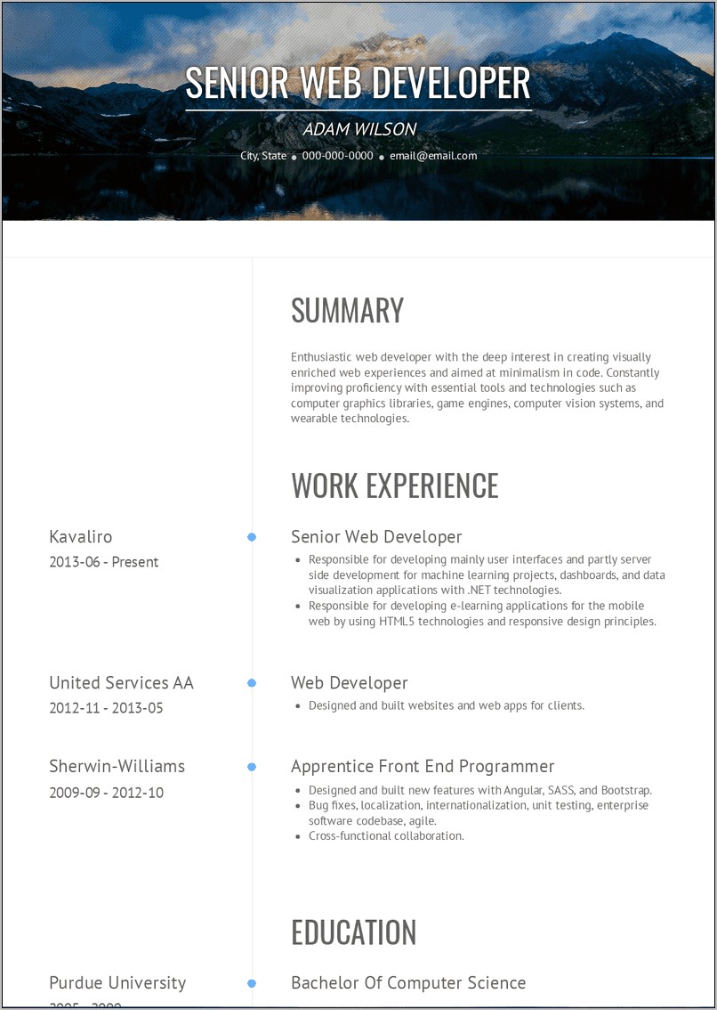 Web Developer Resume Example 2013