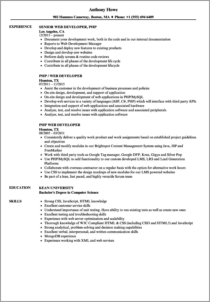 Web Developer Resume Sample Download