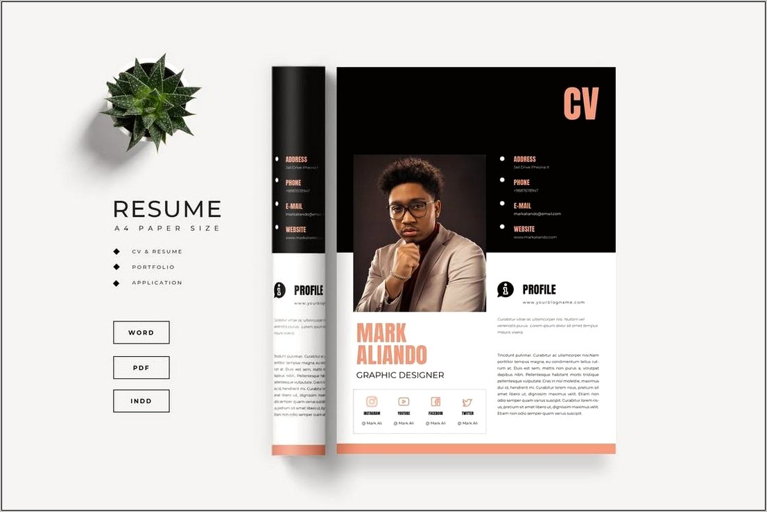 Web Page Resume Templates Free