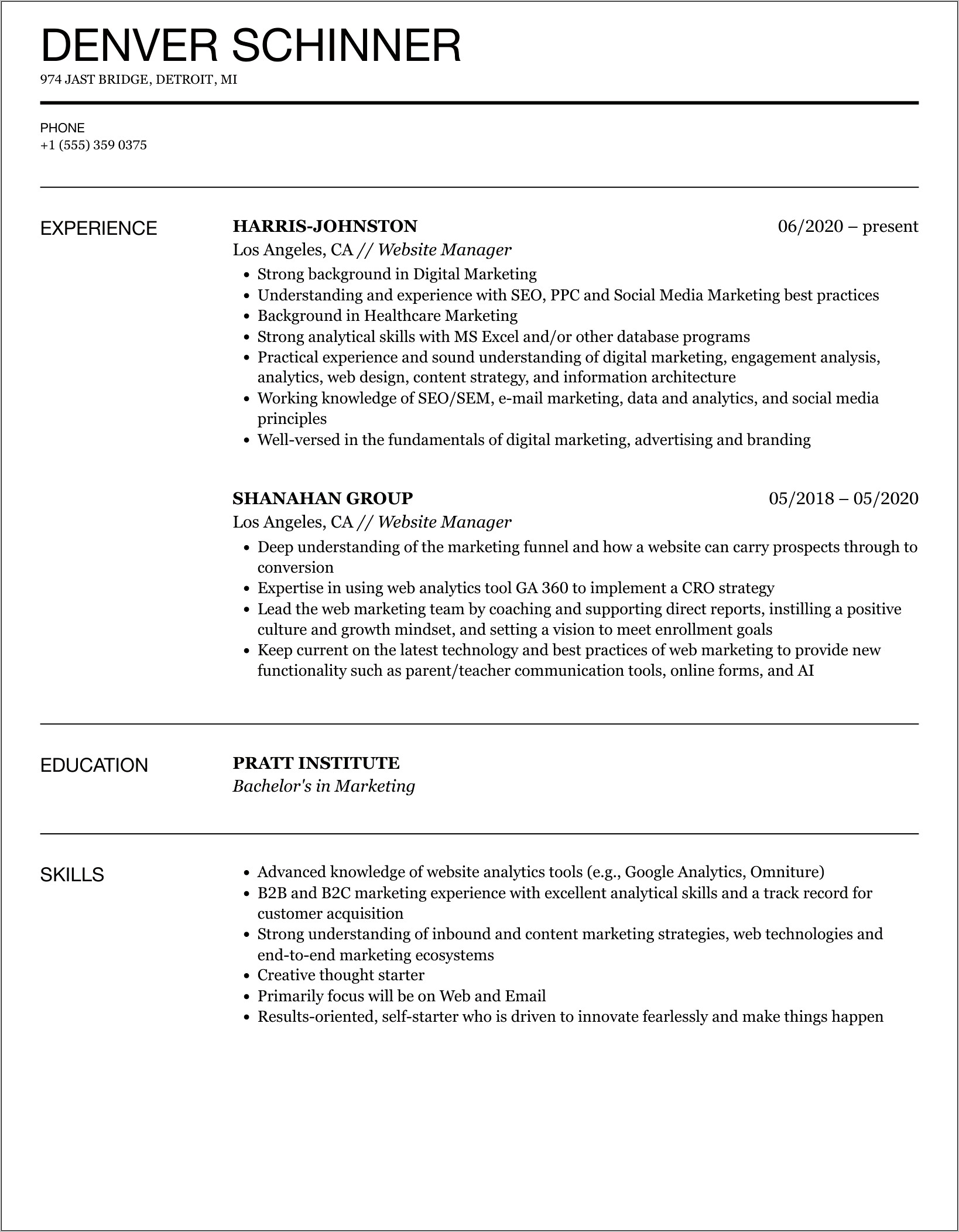 Web Project Manager Resume Sample