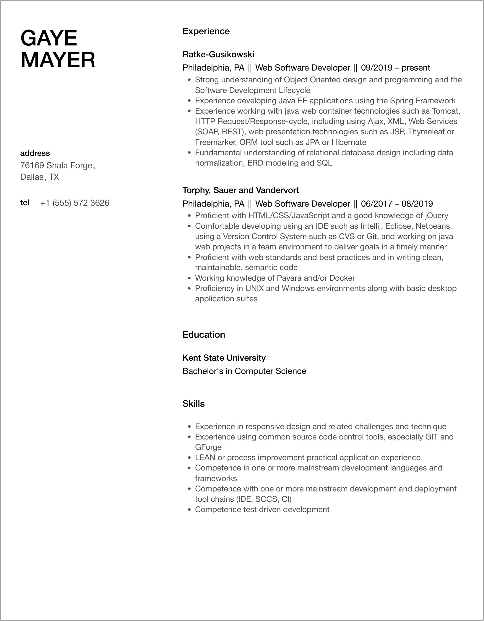 Web Software Developer Sample Resume