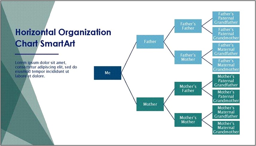 Who Made Me Family Tree Template Free