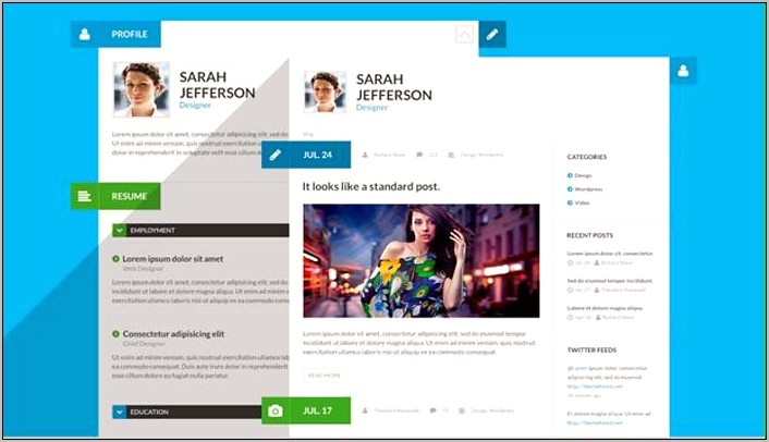 Wp Resume Submit Plugin Free